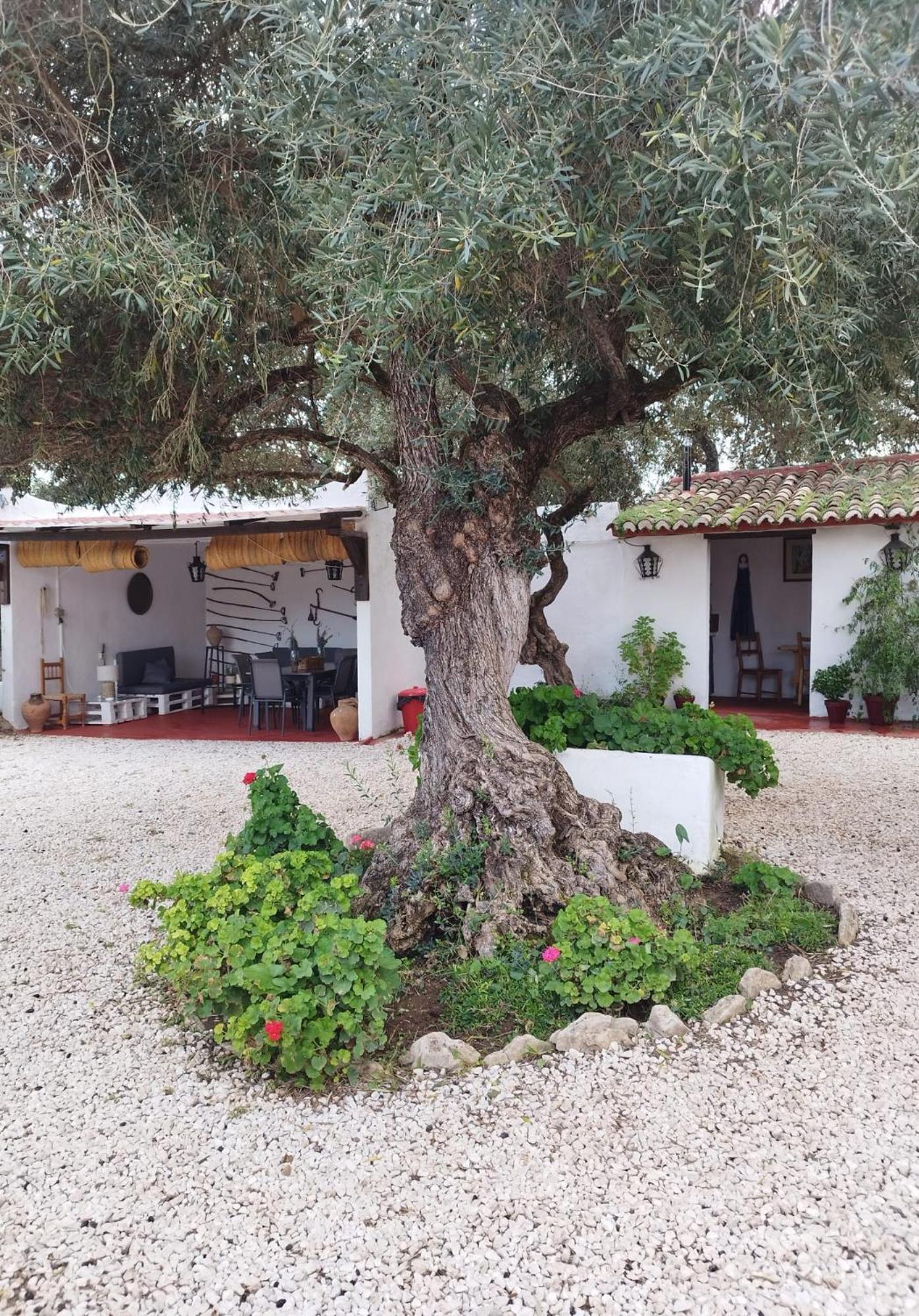 Casa Abanto Vila Ronda Exterior foto